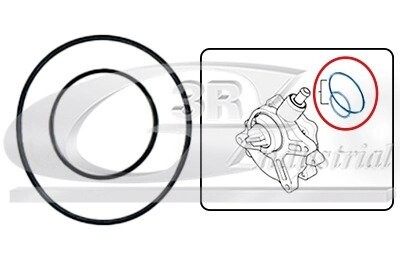 Набір прокладок вакуумного насоса BMW 1 (E81), 1 (E82), 1 (E87), 1 (E88), 3 (E46), 3 (E90), 3 (E91), 3 (E92), 3 (E93), 5 (E60), X1 (E84), X3 (E83), Z4 (E85) 1.8/2.0 12.00-06.15 3RG 74100 (фото 1)