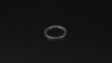 Уплотнительное кольцо, резьбовая пробка AJUSA 22008700 (фото 1)