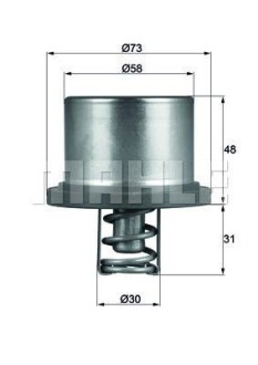 Термостат, охлаждающая жидкость BEHR THD 2 89