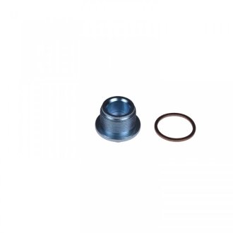 Пробка маслосливного отверстия с уплотнительным кольцом BLUE PRINT ADV180105