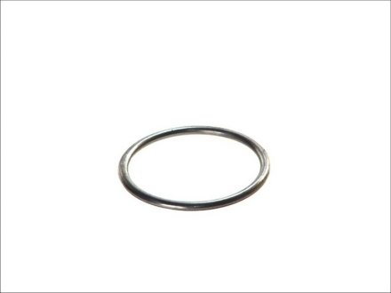 Уплотнительное кольцо, выпускной тр BOSAL 256-170 (фото 1)