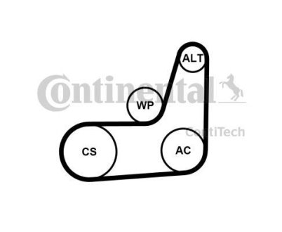 Поліклиновий ремінь CONTITECH 6PK1019 ELAST T2