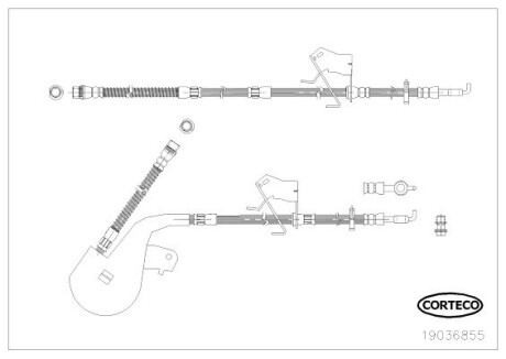 Тормозной шланг CORTECO 19036855 (фото 1)