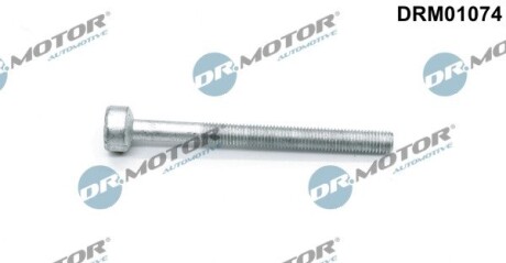 Болт з головкою системи TORX з чорного металу DR.MOTOR DRM01074