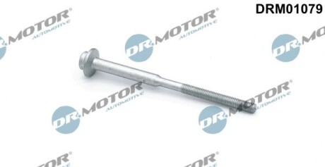 Болт з головкою системи TORX з чорного металу DR.MOTOR DRM01079