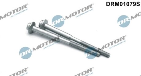 Болти крiплення форсунки к-т DR.MOTOR DRM01079S (фото 1)