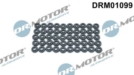 К-т ущiльнюючих кiлець, 50шт. DR.MOTOR DRM01099