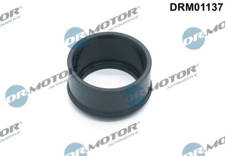 Кільце гумове DR.MOTOR DRM01137