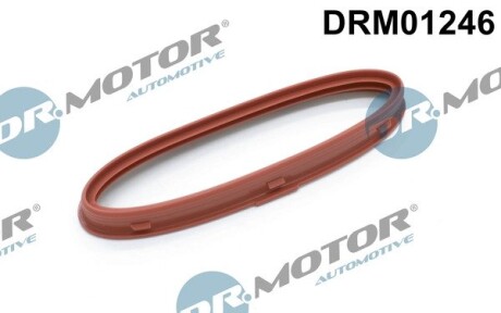 Кільце гумове DR.MOTOR DRM01246