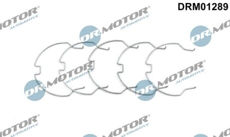 Комплект фiксаторiв патрубка 5 елементiв DR.MOTOR DRM01289 (фото 1)