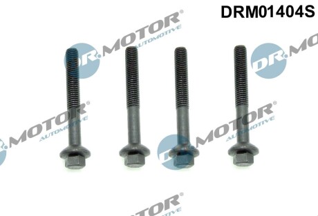 Комплект болтів двигуна з шестигранною головкою DR.MOTOR DRM01404S (фото 1)