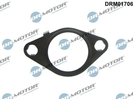 Прокладка клапану EGR DR.MOTOR DRM01706