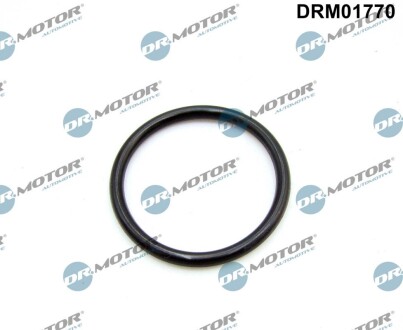 Кільце гумове DR.MOTOR DRM01770