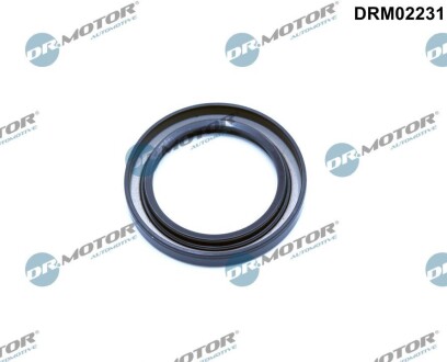 Прокладка клапанної кришки ZN DR.MOTOR DRM02231