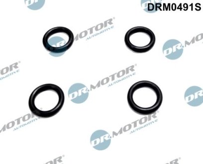 Ремкомплект форсунки 4 елементи DR.MOTOR DRM0491S