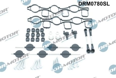 Ремкомплект впускного колектора 40 елементiв DR.MOTOR DRM0780SL (фото 1)