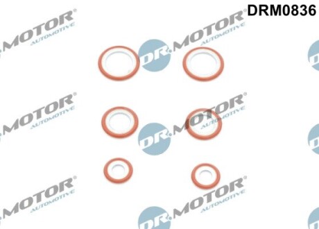 К-т ущiльнюючих кiлець 6 елементiв DR.MOTOR DRM0836