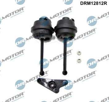 Ремкомплект впускного коллектора DR.MOTOR DRM12812R