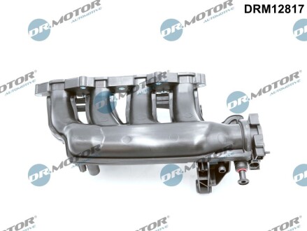 Колектор впускний DR.MOTOR DRM12817