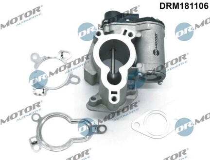 Клапан рециркуляцiї NISSAN QASHQAI/QASHQAI 06-14/OPEL VIVARO A 01-14 DR.MOTOR DRM181106 (фото 1)