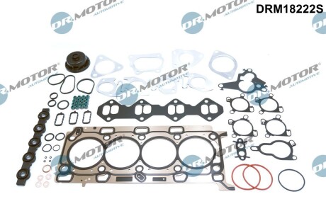 Комплект прокладок двигуна 57 елементiв DR.MOTOR DRM18222S