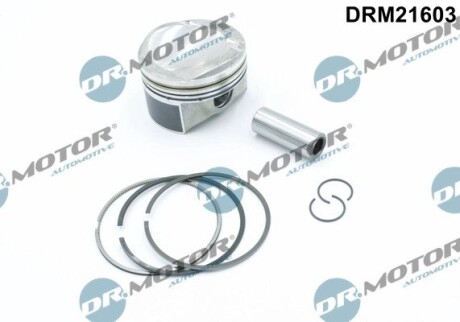 Поршень з поршневими кiльцями DR.MOTOR DRM21603 (фото 1)