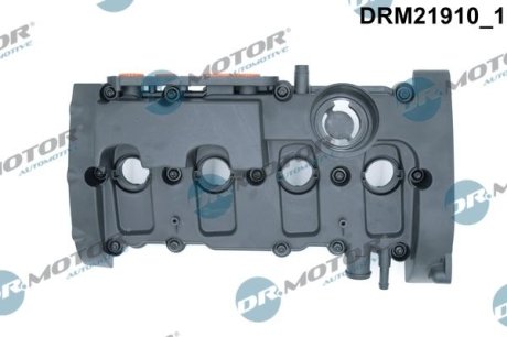 Кришка головки блоку циліндрів ДВЗ DR.MOTOR DRM21910 (фото 1)