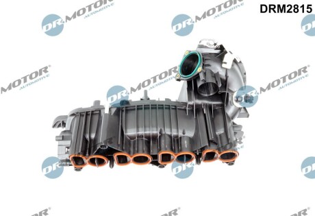 Колектор впускний DR.MOTOR DRM2815