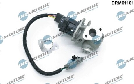 Клапан рециркуляцiї FORD FOCUS II 04-13/VOLVO S40 II/V50 03-12 DR.MOTOR DRM61101