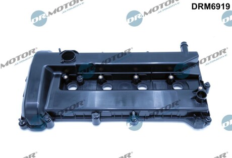 Кришка головки цилiндра DR.MOTOR DRM6919