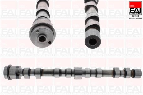 Вал розподільчий EX CITROEN JUMPER FIAT DUCATO IVECO DAILY III, DAILY V, DAILY VI PEUGEOT BOXER 3.0D 01.04- FAI AUTOPARTS C391