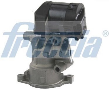 Клапан EGR Citroen Jumpy 2.0 HDI 07-/Peugeot 307/407/607/807/Expert 06- FRECCIA EGR12-113