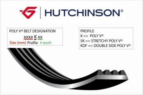 Ремiнь клиновий HUTCHINSON 1187KDF6