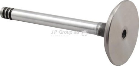 Впускной клапан JP GROUP 1111303800 (фото 1)