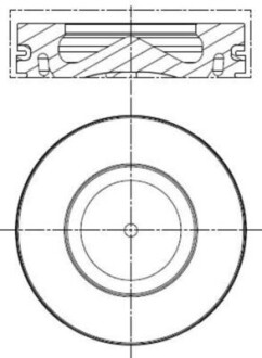 Поршень MAHLE / KNECHT 081 PI 00100 000 (фото 1)