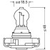 Автолампа (24W 12V PG20/7 FS1) OSRAM 2504 (фото 3)