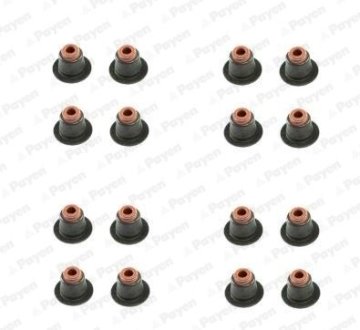 Сальник клапана (компл.) BMW N42/N46 (16PCS) PAYEN HR5086