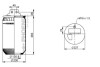 Пневмоподушка PHOENIX 1 DF 20 G-1 NP (фото 4)