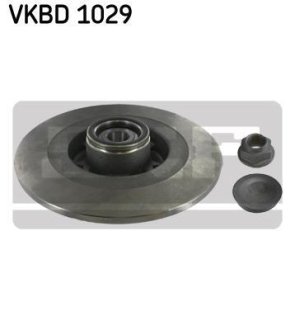 Тормозной диск SKF VKBD 1029 (фото 1)