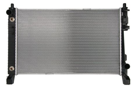 Радиатор, охлаждения дивгателя THERMOTEC D7M042TT (фото 1)
