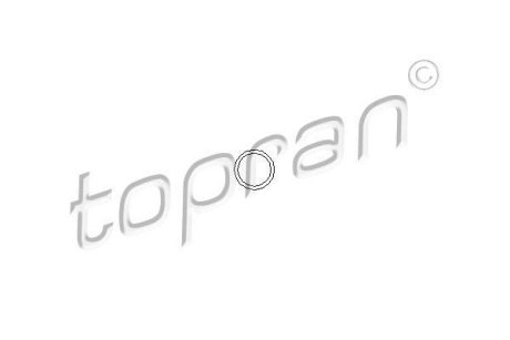 Елемент вприскування Monopoint TOPRAN 100678 (фото 1)