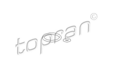 Регулятор давления подачи топлива TOPRAN 100736 (фото 1)