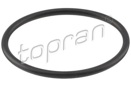 Прокладка TOPRAN 101 117 (фото 1)