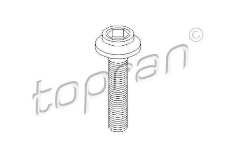 Болт привiдного валу TOPRAN 108139 (фото 1)