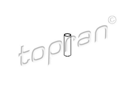 Втулка ричага TOPRAN 109662 (фото 1)