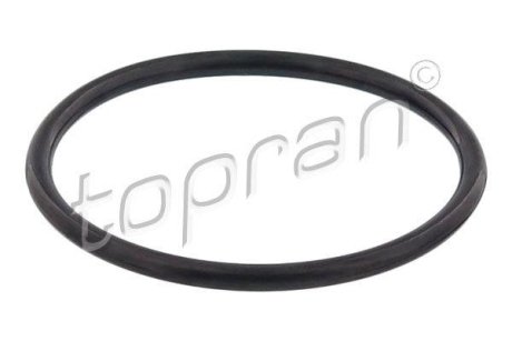 Прокладка термостата TOPRAN 117329 (фото 1)