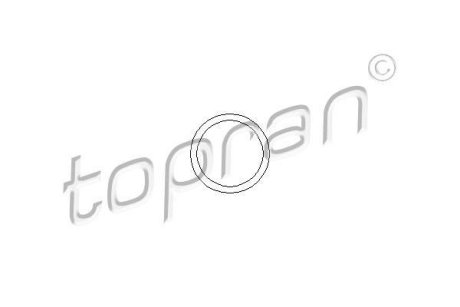Прокладка-кільце термостата Opel Omega A/B/Vectra A 1.8 88- TOPRAN 202 327