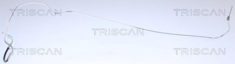 Тормозной шланг TRISCAN 815025228 (фото 1)