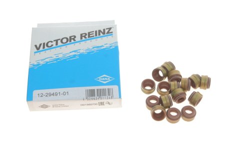 Комплект сальників клапанів VICTOR REINZ 12-29491-01 (фото 1)