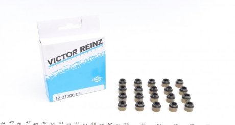 Комплект сальників клапанів VICTOR REINZ 123130603